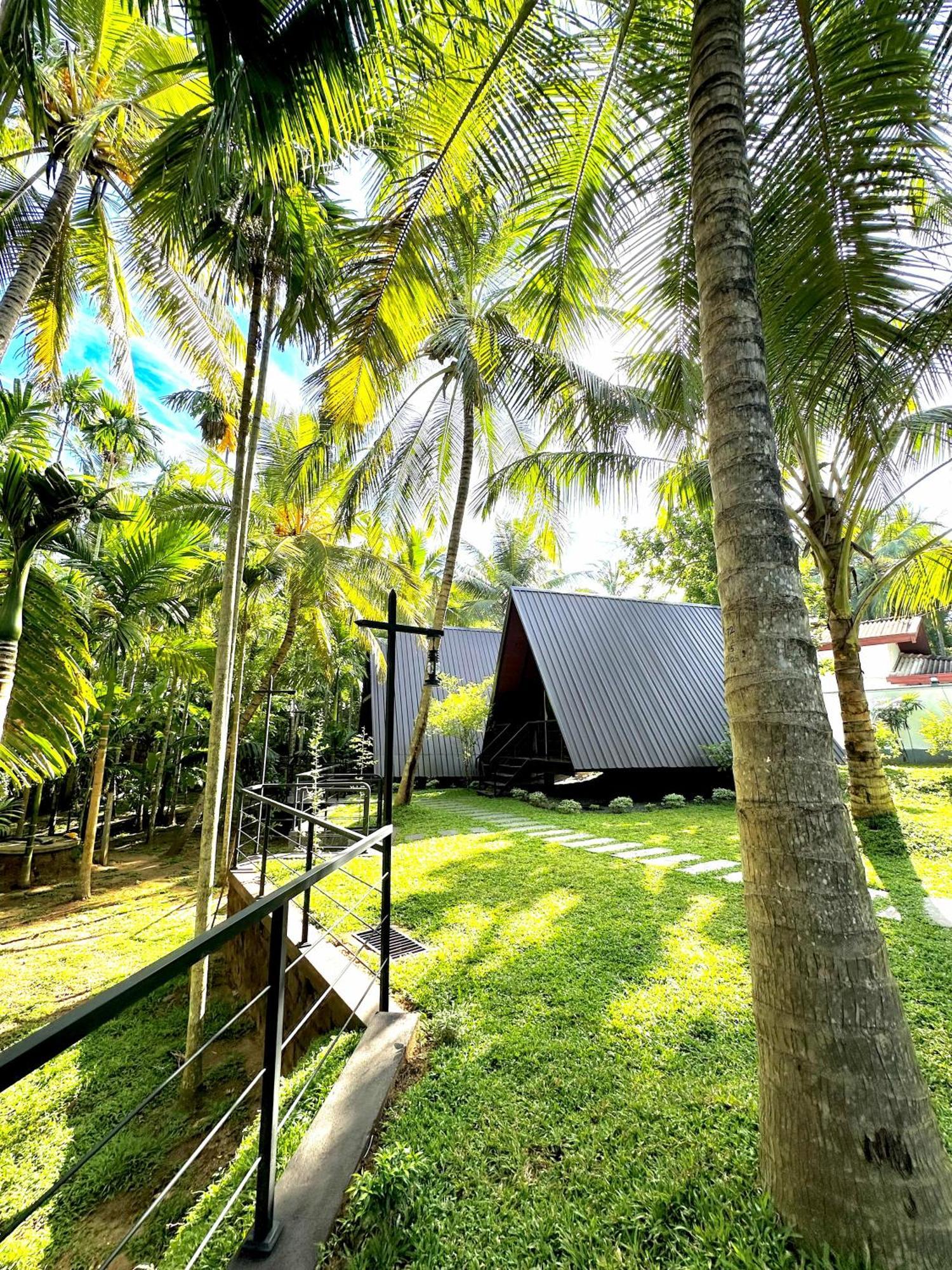 Rustic Cottages Udawalawe Exteriér fotografie