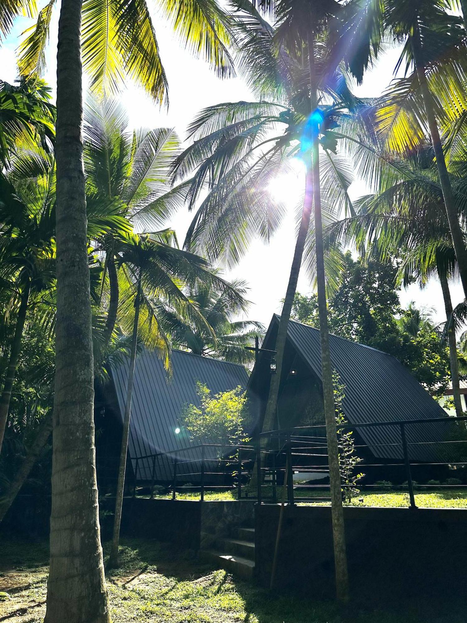 Rustic Cottages Udawalawe Exteriér fotografie